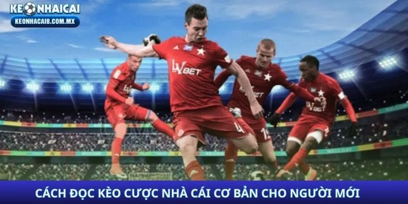 Cách đọc kèo cược nhà cái cơ bản cho người mới