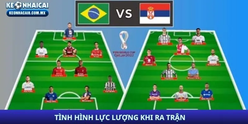 Tình hình lực lượng khi ra trận