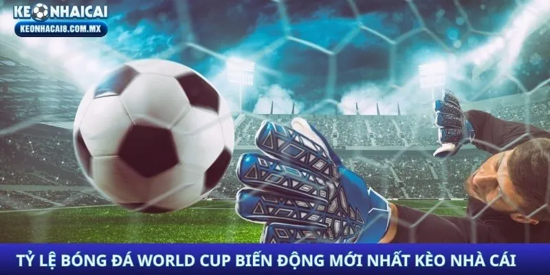 Tỷ Lệ Bóng Đá World Cup Biến Động Mới Nhất Kèo Nhà Cái