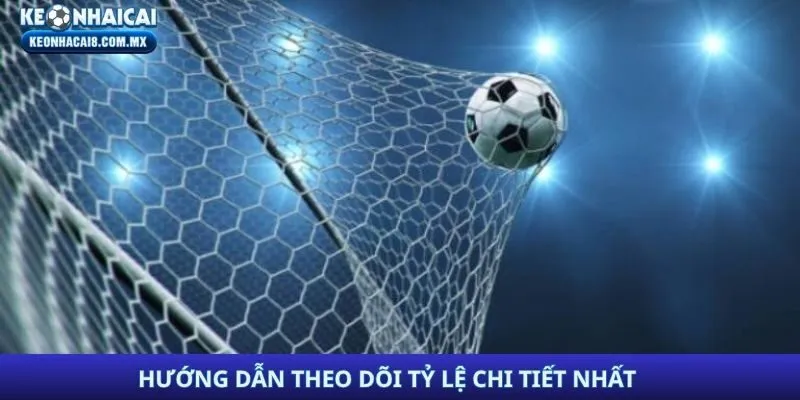 Hướng dẫn theo dõi tỷ lệ chi tiết nhất