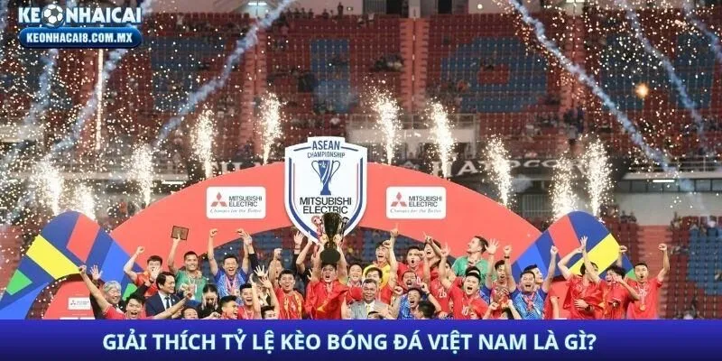 Giải thích tỷ lệ kèo bóng đá Việt Nam là gì?