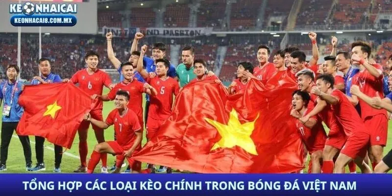 Tổng hợp các loại kèo chính trong bóng đá Việt Nam