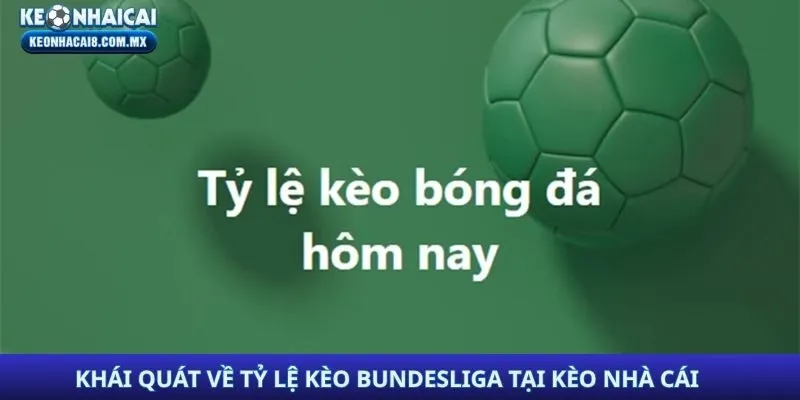 Khái quát về tỷ lệ kèo Bundesliga tại Kèo Nhà Cái