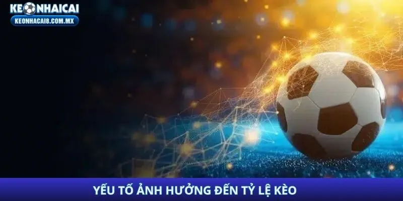 Yếu tố ảnh hưởng đến tỷ lệ kèo