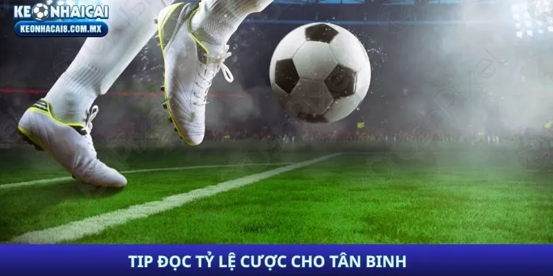 Tip đọc tỷ lệ cược cho tân binh